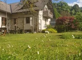 River House Radolca