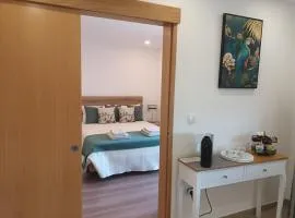 Panorama Douro House