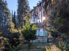 Gesztenyés Backpackers โรงแรมในคือแซก