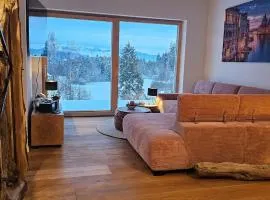 Penthouse Pfänderblick Alpenpanorama am Bodensee