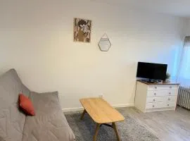 Agreable studio proche du circuit du Mans