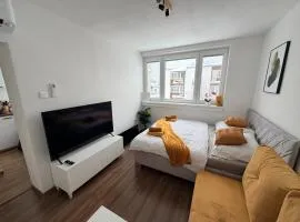 Cozy apartment in the heart of Terchova with great location