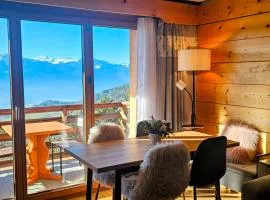 Bel appartement alpin avec vue imprenable