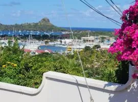 Hilltop Villa Chez Coco