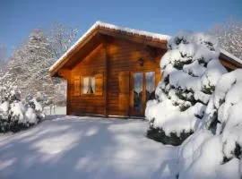 Chalet 3 étoiles proche Gérardmer sur grand terrain clos