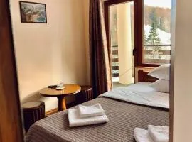 Pensiunea Casa Vanatorului