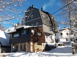 Apartments Artic, three-star hotel in Jahorina