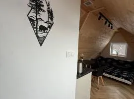 Tatra widok na góry, Jacuzzi, sauna, parking