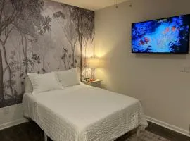 Private, Cozy Studio in Downtown Stamford, CT