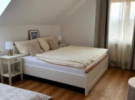 Penzion Apartmány Libošovice