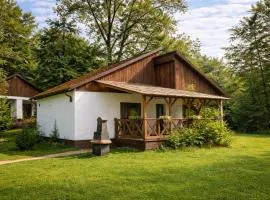 Folwark Wierzchy - Domki wśród lasów