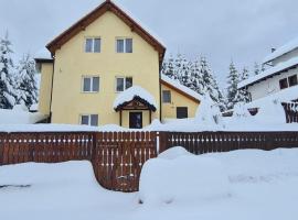 Cabana Alina, hotel en Păltiniş