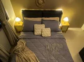 Sky Pawfect Stay Bring Your Pets Stylish 2BR