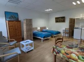 Séjour nature proche Orléans avec animaux et étang - FR-1-590-560