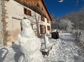 Gîte familial de caractère pour 10 pers, vue vallée, proche ski - FR-1-589-790