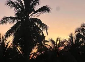 Flats Brisa Antunes 02