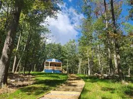 Serenity Cabin - Cozy Mountain retreat near Shenandoah National Park