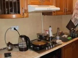 Nice apartment nearby Garegin Nzhdeh metro, Yerevan