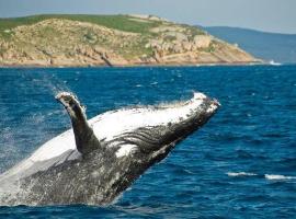 Southerly Studio, hotel in Augusta