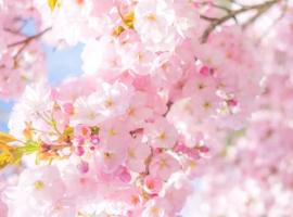 Satoyama no Yado Kei-House - Vacation STAY 55796v, hotel que aceita pets em Shikokuchuo