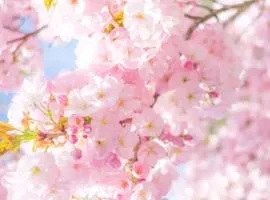 Satoyama no Yado Kei-House - Vacation STAY 55796v