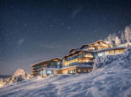 Natura Hotel Bodenmais - inkl Soft- und Heißgetränkeflat, hotel en Bodenmais