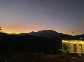 Sú Mỏ Choi Đà Lạt