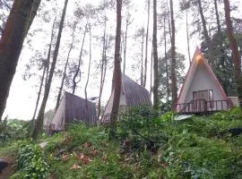 The Nest Park