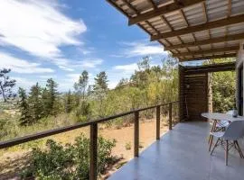 Pine Forest Retreat Cabin