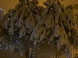 Starmax City Hotel's YALOVA, hotel en Yalova