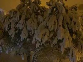 Starmax City Hotel's YALOVA