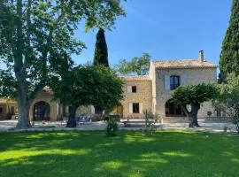 The Farmhouse in the shade of the plane trees