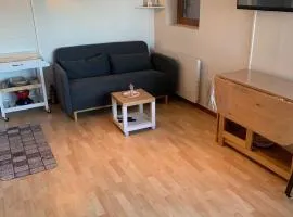 Appartement 2 pièces à 300m de la télécabine