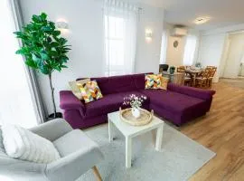 3 BDR Traveller Family Apt w AC Free Parking by NW