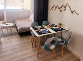 Isola 2000 appartement au pied des pistes wi-fi
