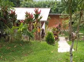 Fundo La Bonita -Palmapampa