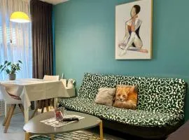 Central Studio Apartment