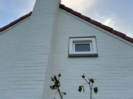 Heerlijk Dijkhuisje in Paal