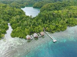 Raja Ampat Holidays, Hotel in Besir