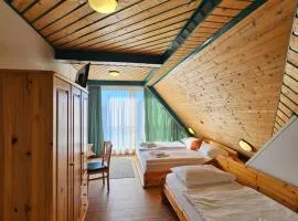 Hotel Asperner Löwe