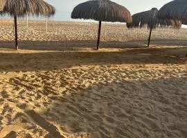 Laila Palm beach chalet