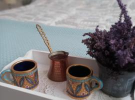 Soul, Hotel in Bela Crkva