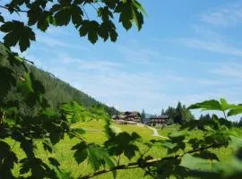 Appartement Hinterrohrgut