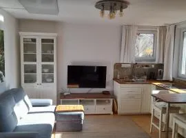 Specially equipped mini apartment!
