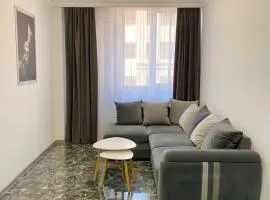 Luminous Modern Apartment King Bed & High-Speed Wi-Fi