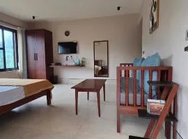 Nirmala's Farmhouse - The Blu room