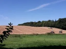 Gemütliche Fewo auf dem Resthof