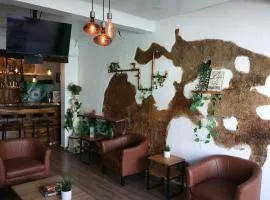 Hostel Gato Colonial