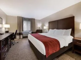 Comfort Inn Onalaska - La Crosse Area
