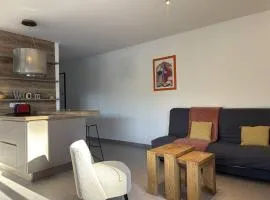 Appartement lumineux et spacieux avec terrasse et parking, à 15 min à pied du centre, parfait pour 6 pers ! - FR-1-548-6